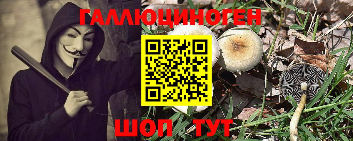 Галлюциногенные грибы Magic Shrooms Черкесск